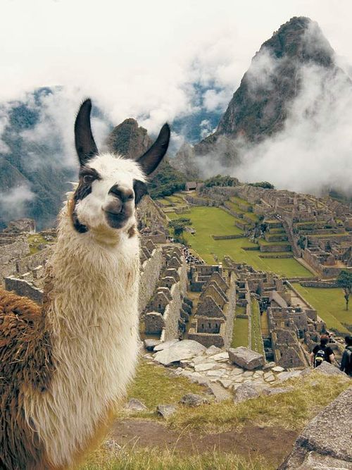 Destination Image